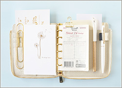 ORGANISER Lジップ イメージ